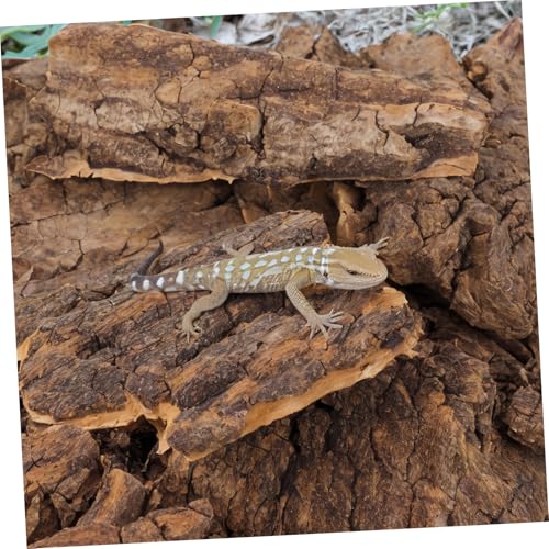 Yardwe 14Pcs Natural Cork Bark Reptile Hideout and Climbing Platform Multi-Functional Habitat Decor for Bearded Dragon Gecko Snake Terrarium Accessories