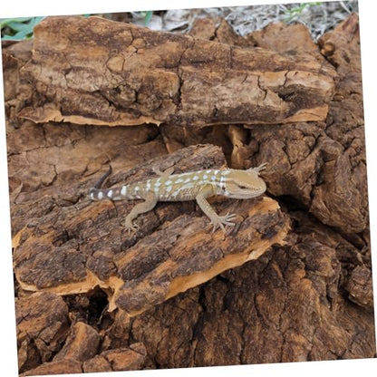 Yardwe 14Pcs Natural Cork Bark Reptile Hideout and Climbing Platform Multi-Functional Habitat Decor for Bearded Dragon Gecko Snake Terrarium Accessories