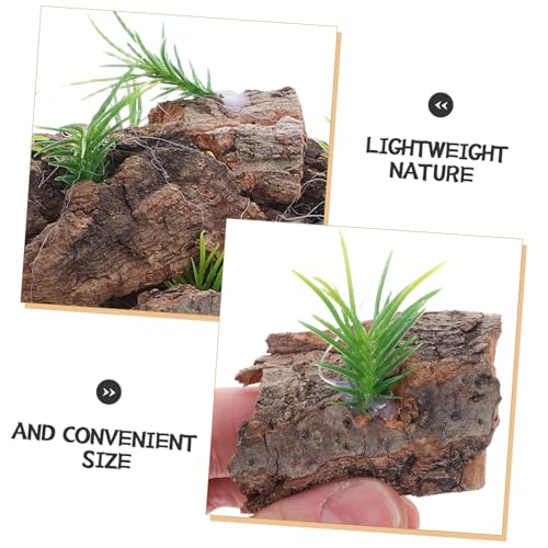 20pcs Natural Cork Bark for Reptile Terrarium Non-Toxic Tree Bark Background for Reptile Tank Climbing and Shelter Decor for Lizards Turtles Amphibians Aquarium Habitat Accessories