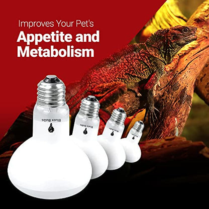 4 Pack 100-Watt Basking Light for Reptile - Heat Lamp Bulbs for Reptiles & Amphibians Broad Spectrum Reptile Light for Glass Terrariums Suitable for Bearded Dragons Light Lizards Iguanas basking Bulb