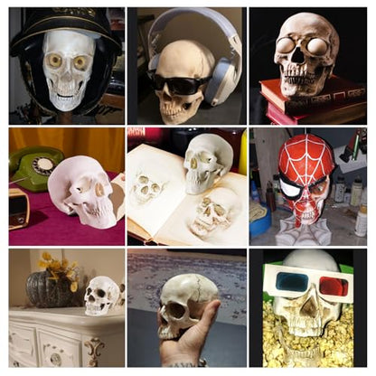 2-Pack Mini Skulls Décor, Human Skull Model Anatomy Skull Model for Studying,Tiny Resin Skulls, Drawing Model Skull Figurine, Small Skull Head for Students,Art Gift