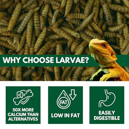 Black Soldier Fly Larvae, Bearded Dragon Food, Bugs for Reptiles, Worms for Geckos, Insect Protein, Baby Bearded Dragon Food, Made in USA (1 Pound (Pack of 1)) - size: 1 Pound (Pack of 1)