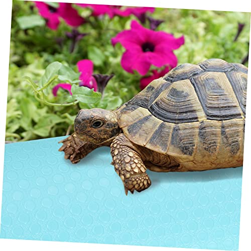 Sosoport Reptile Carpet for Bearded Dragon Snake Lizard Tortoise Leopard Gecko Sphagnum Moss Alternative