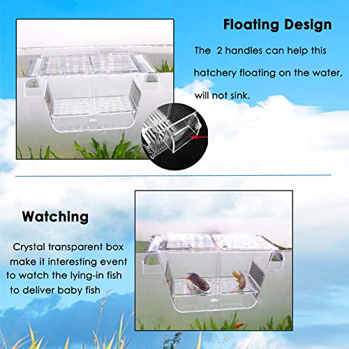 capetsma Fish Breeding Box, Acrylic Fish Isolation Box with Suction Cups, Aquarium Acclimation Hatchery Incubator for Baby Fishes Shrimp Clownfish and Guppy... Small Size (S) - size: S