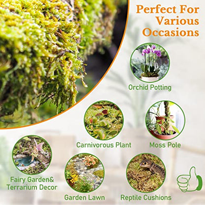 Riare 10 OZ Premium Sphagnum Moss- Natural Long Fibered Sphagnum Peat Moss Plants Moss Dried, Carnivorous Plants Moss Orchid Potting Mix for Orchids, Carnivorous Plants, Succulent (12QT) - size: 12QT/10oz