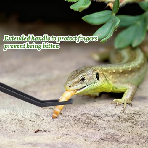 Stainless Steel Reptile Feeding Tongs with Rubber Tip，5 PCS Straight and Curved Long Tweezers Terrarium Aquascape Tools Feeder for Lizards Bearded Dragon Snake（Black）