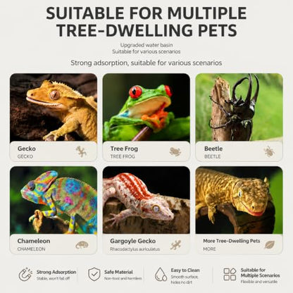 Strong Magnetic Reptile Ledge - Acrylic Gecko Feeding Ledge with Cups, Heavy Duty Elevated Reptile Food and Water Feeder Dish for Crested Gecko, Gargoyle Gecko, Chameleon, Anole