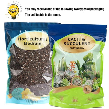 Doter Succulent & Cactus Soil Potting Mix 1qt, Chunky Dirt with Fast Draining Fits for Bonsai, Terrarium and Houseplant - color: Succulent & Cactus Soil, size: 1qt