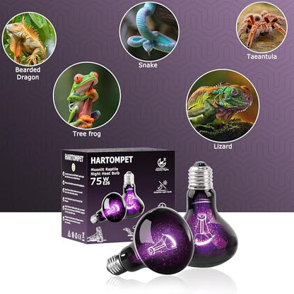 75W Reptile Night Light Bulb, UVA Heat Lamp with Moonlight, Purple Night Basking Lamp for Bearded Dragons, Lizards, Snakes, Chameleons, Turtles & Amphibians, Terrarium Aquarium Use - color: Purple-moonlight Heat Lamp, size: 75 Watts