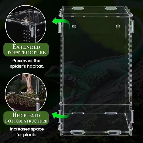 Acrylic Reptile Habitat – Escape-Proof Front Opening, 20x12cm Clean, Transparent View, Ventilated Design | Enclosure for Jumping Spiders, Observation, Home, Bedroom, Living Room, Office, Pet Store