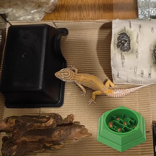 Reptile Feeder Bowl Worm Dish Anti-Escape Food Dish Bowl with 2PCS Feeding Box, Food Water Feeder for Crested Gecko Lizard Chameleon Pets, Reptile Terrarium Tank Accessories (S) - size: S
