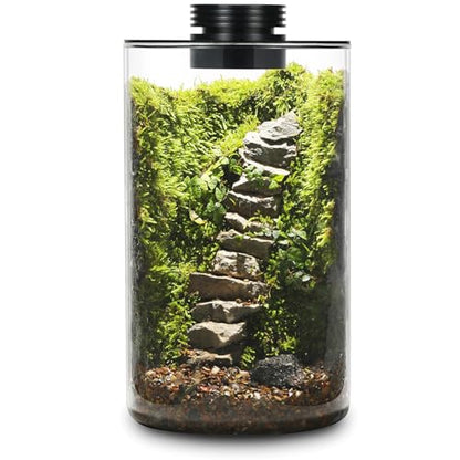 Desktop Glass Plant Terrarium with Grow Light (H:9.8" D:5.9"), for Succulent, Moss, Miniature Gardening Landscape, Betta Fish Tank, Office Home Decoration, Plant Lovers Gifts