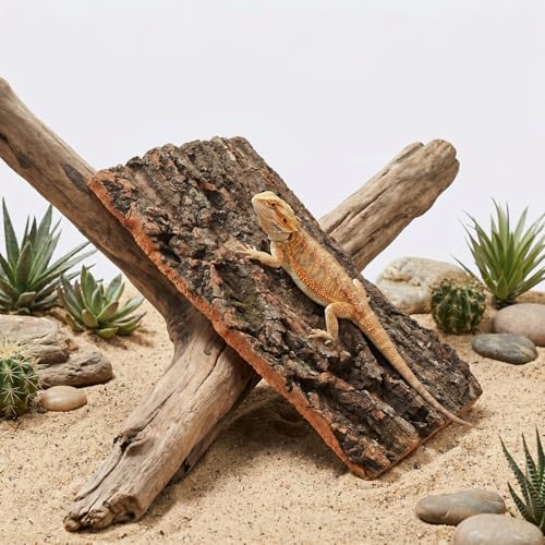 UPKOCH 2PCS Natural Cork Bark Terrarium Background Reptile Climbing Flats Tank Decor Hide for Bearded Dragon Crested Gecko Snake