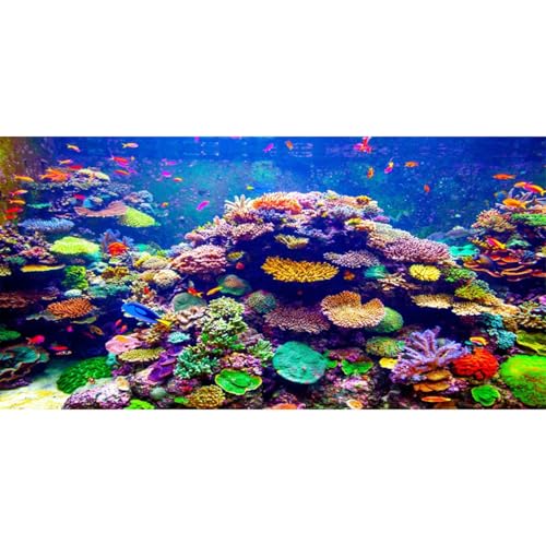 AWERT Undersea Theme Aquarium Background 30x12 inches Vinyl Colorful Coral Tropical Fish Underwater World Fish Tank Background - size: 30x12in/75x30cm