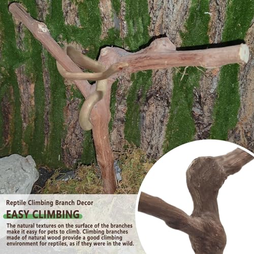 BNOSDM Reptile Grapevine Wood Decoration Lizard Natural Wood Climb Tree Branch Decor Grape Wood Branches Tank Accessories for Leopard Gecko Frog Snake Climbing Terrarium Ornament,7.87in