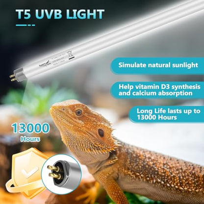 3-Pack UVB Reptile Light 10.0 Bulb 8W T5 Fluorescent Desert Lamp UVA for Bearded Dragon Tortoise Reptile & Amphibian - size: 8W-3PCS