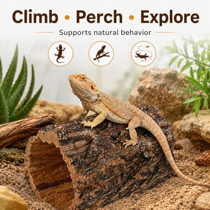 DECHOUS Natural Cork Rounds Reptiles 6x5 Inch Reptile Hideout Tree Bark Tube Terrarium Tank Decor for Gecko Bearded Dragon Snake Climbing, Amphibian Habitat