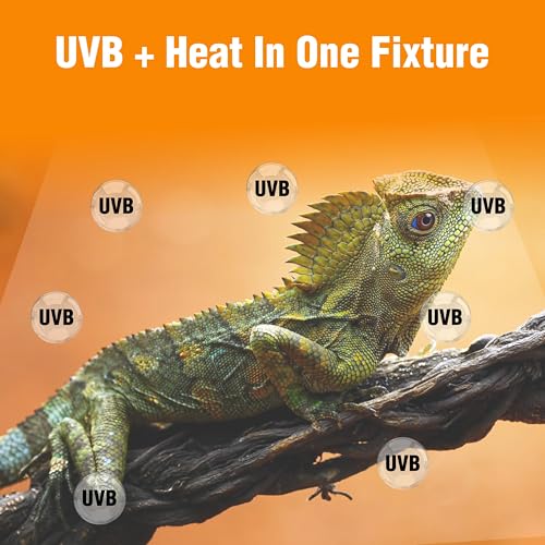 T5HO Double 22” UVB Reptile Light Fixture 24w, Bearded Dragon and Reptile Terrarium Light Fixture
