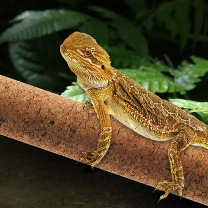 Natural Climbing Pet Cork Stick Natural Tree Frog Cork Wood Stick Branch Reptiles Climbing Branches Reptiles Use Cork Branches Climb Branches for Frogs, Snakes,Lizards, Bearded Dragons - size: 15.75"D x 1.65"W x 1.65"H