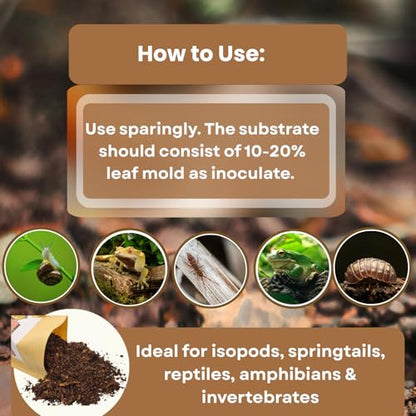 SCOTTY'S BUGS All Natural Leaf Mold for Bioactive Terrariums & Vivariums – Perfect for Isopods, Springtails, Amphibians & Reptiles – 12oz. Pack - size: 12oz-LeafMold