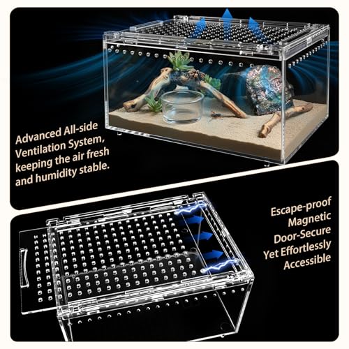 Reptile Terrarium Starter Kit, PC Habitat w/Magnetic Lid & Full Ventilation, Scorpion Habitat, Tarantula Enclosure, Spiders Cage, Insect Terrarium, Mantis & Small Frog Terrarium, 8"x6"x4" Assembled