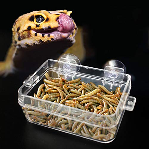 Acouto Amphibians Reptiles Anti Escape Feeder Feeding Basin Tortoise Lizard Crawler Food Bowl Suction Cup Feeder for Reptiles Bearded Dragon Accessories Food Cricket Container