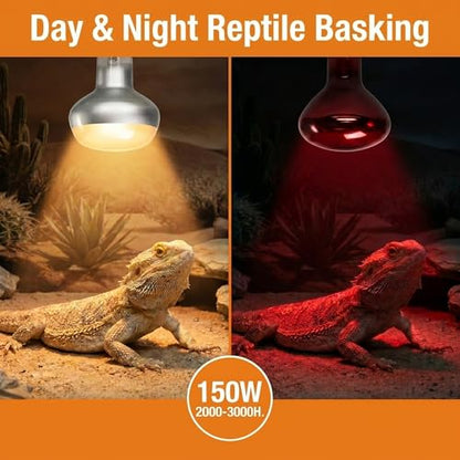150W Reptile Heat Lamp, 2 Pack Day & Night Basking Lamp Combo, UVA Daylight Heat Bulb & Infrared Red Night Heating Light, Terrarium Heat Lamps for Reptiles, Bearded Dragon, Lizard, Chicken