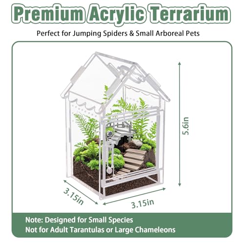 Acrylic Terrarium Kit for Jumping Spiders & Tarantulas - 3.15"x3.15"x5.6" Spider Enclosure with Magnetic Feeding Door & Secure Latch - Ideal Reptile Cage, Praying Mantis Habitat, Bug Terrarium