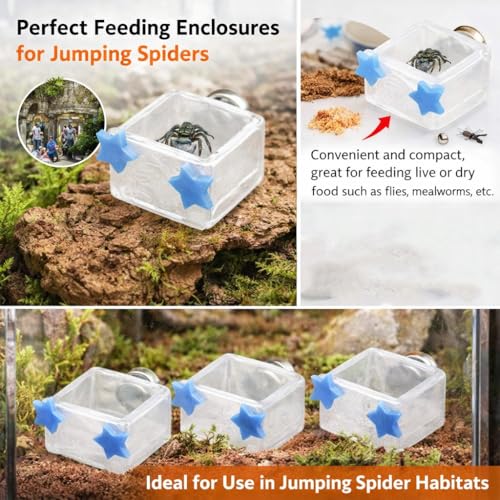 3 Pcs Magnetic Jumping Spider Feeding Dish Jumping Spider Enclosure Accessories Star-Shaped Design Reptile Water Bowl for Other Small Reptiles or Insects (Transparent + Blue) - color: Transparent + Blue