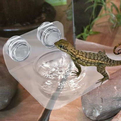 Gecko Feeder - Gecko Feeding Ledge Suction Cup, Reptile Food Feeder Bowl, Suction Cup Food Tray Lizard | Acrylic, Magnet, Bowls, Reptile Feeding Ledge for Lizards, Chameleons, Tree Frogs, - color: A