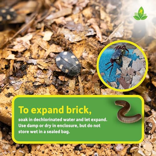 Josh's Frogs Compressed Natural Tropical Leaf Litter Brick, 500g, All-Natural Leaf Fragments for Isopods, Millipedes, Crabs, Detritivores