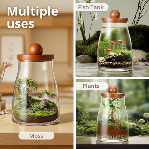 Desktop Glass Plant Terrarium with Grow Light, for Moss, Succulent, Miniature Gardening Landscape, Betta Fish Tank, Desktop Decorations for Home and Office, Plant Lovers Gift (2.7L, H:8.3" D:6.1")