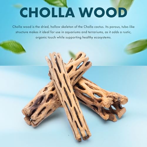 SubstrateSource Natural Cholla Wood - Driftwood for Aquariums, Air Plant Base, Hermit Crab and Freshwater Shrimp Hideout, Fish Tank Decoration, Chinchilla Chews, Reptile Habitat Wood - 4 Inch, 3pc - size: 4 Inch (Pack of 3)