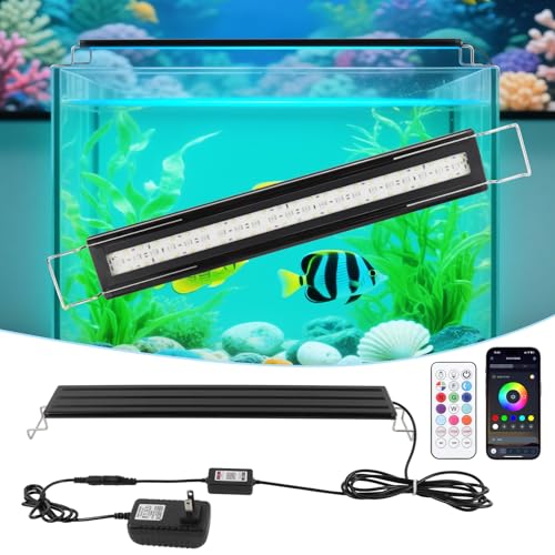 Full Spectrum Aquarium Light：Fish Tank Light with APP & Remote Control for Plants Growth - Fish Lamp for Live Fishes Aquatic Pet Lovers - 24-31 Inch Freshwater Saltwater Aquarium Decor - size: 24-31inch