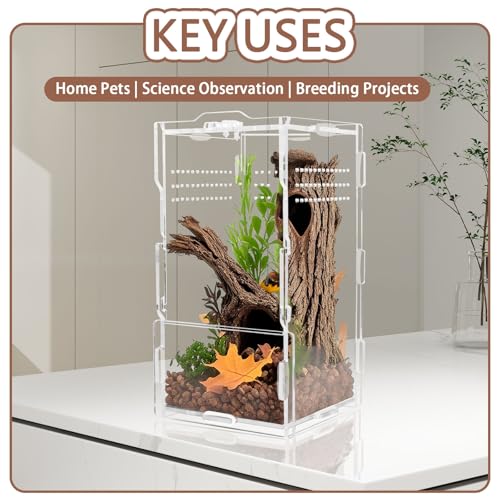 Jumping Spider Enclosure Acrylic Terrarium 8x4x4 - color: Transparency-Basic