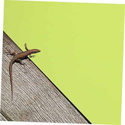 UKCOCO 2Pcs Reptile Carpet Liner and Washable Terrarium Mat for Tanks Easy Clean Substrate for Snakes Lizards Turtles and Amphibians