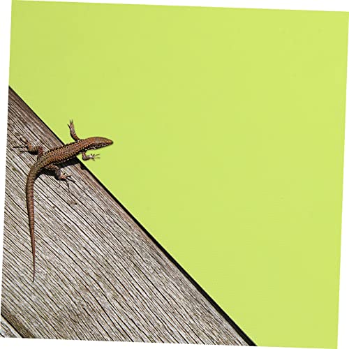 Kisangel Waterproof Reptile Carpet Mat Washable Non-Adhesive Substrate for Bearded Dragon and Leopard Gecko Terrariums 20 Gallon Tank Liner Basking Platform
