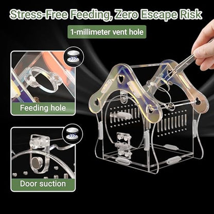 Mushroom Jumping Spider Enclosure Kit, 3mm Acrylic Habitat Tank with Magnetic Feeding Door & Lock, No-Tool Assembly for Jumping Spiders, Mantis, Small Tarantulas