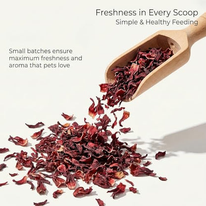 RAINFLOW Hibiscus Flower Treat (5.3oz)– Healthy Dried Hibiscus Flowers Small Animal Treats for Chinchilla, Guinea Pig, Natural Pet Snacks Hamster Treats for Rabbit,Rats, Squirrels, Sugar Glide
