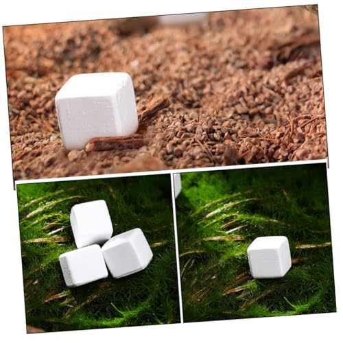POPETPOP 30pcs Natural for Reptiles Tortoise Turtle Frog Lizard Chameleon Promotes Growth Provides Essential Microelements Supports Health and Water Quality Stabilization