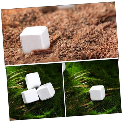 BESPORTBLE 30pcs Natural for Reptiles and Amphibians and Growth for Tortoise Turtle Lizard Frog and Chameleon Enrich Water Quality and Strengthen Immunity