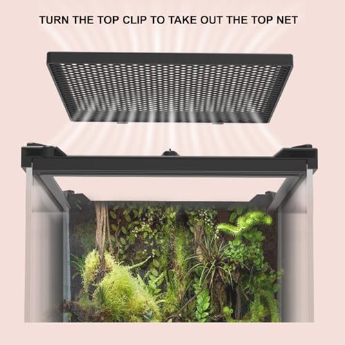 Reptile Tall Glass Terrarium Rainforest Habitat Single Door with Screen Ventilation,Small Reptile Terrarium for Spiders, Tarantulas, Snail, Mantis, Lizard (8 * 8 * 12 inch) - size: 8*8*12 inch