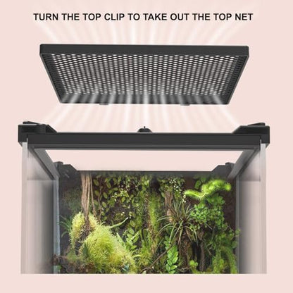 Reptile Tall Glass Terrarium Rainforest Habitat Single Door with Screen Ventilation,Small Reptile Terrarium for Spiders, Tarantulas, Snail, Mantis, Lizard (10 * 10 * 13.8 inch) - size: 10*10*13.8 inch