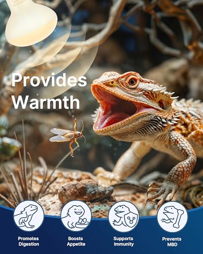 FLSNT 2 Pack Reptile Heat Lamp Bulbs, 75W Basking Light for Amphibian, Bearded Dragon, Lizard, Tortoise, Gecko