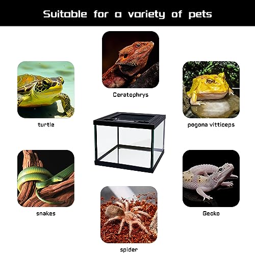 Mini Reptile Glass Terrarium Tank 8 * 8 * 6" Full View, Amphibians Box Habitat Enclosure Cage for Frog,Spiders,Dubia Cockroach,Praying Mantis,Cricket,Tarantula,Hermit Crab - size: 8*8*6inch