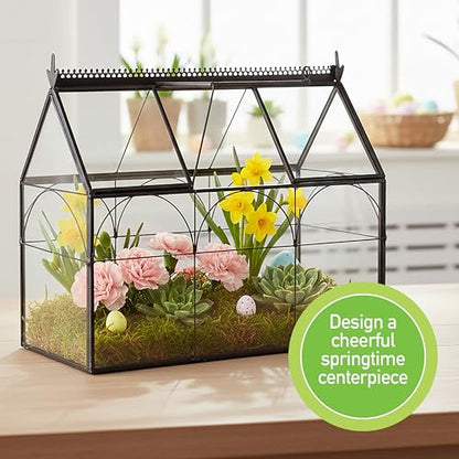 D'Eco Glass Greenhouse Centerpiece (10x4.5x9) - Spring Home Decor & Wedding Letterbox - Tabletop Geometric Planter Terrarium - Fill with Succulents, Moss, Flowers for Plant Lovers - size: Greenhouse
