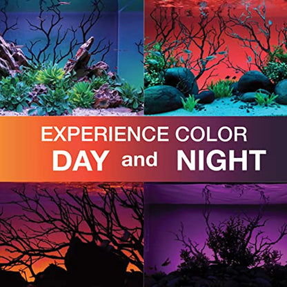ColorCast Smart LED Aquarium Background Light Kit with Frosted Background Film | Smartphone and Voice Control | 24/7 Timers | Alexa and Google Home | for Aquariums, Terrariums and Vivariums | 18"-32" - size: 18" | 18" to 32"
