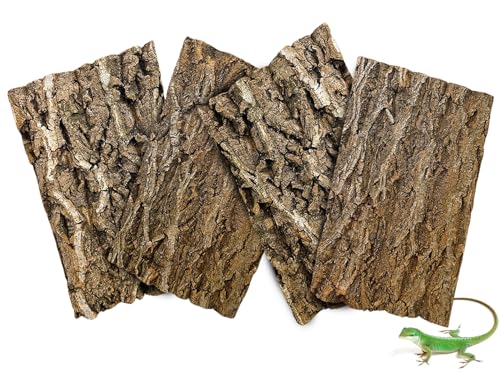 BNOSDM 4PCS Cork Bark Background,11.8" x 7.9" Natural Reptile Terrarium Backdrop, Lizard Climbing Wall Decor for Bearded Dragon Leopard Gecko Snake Chameleon