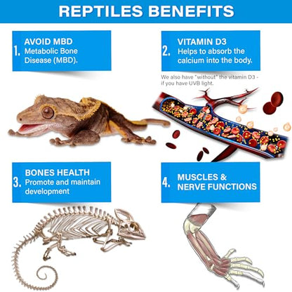 Gargeer 4oz All Reptile Calcium Powder, Phosphorus-Free Ultrafine Powder, Pure Dust Without Vitamin D3, Ready to Use for All Reptiles, Lizards & Amphibians Supplement. Made in the USA. Enjoy !