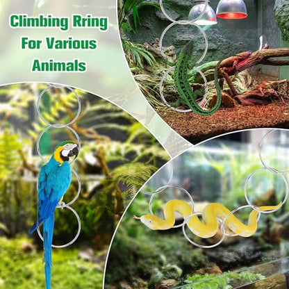 Catcan Snake Enrichment Rings for Ball Python, Snake Climbing Accessories Include Climbing Hoop Chain with Hanging Buckle and 5m Artificial Rattan Rope